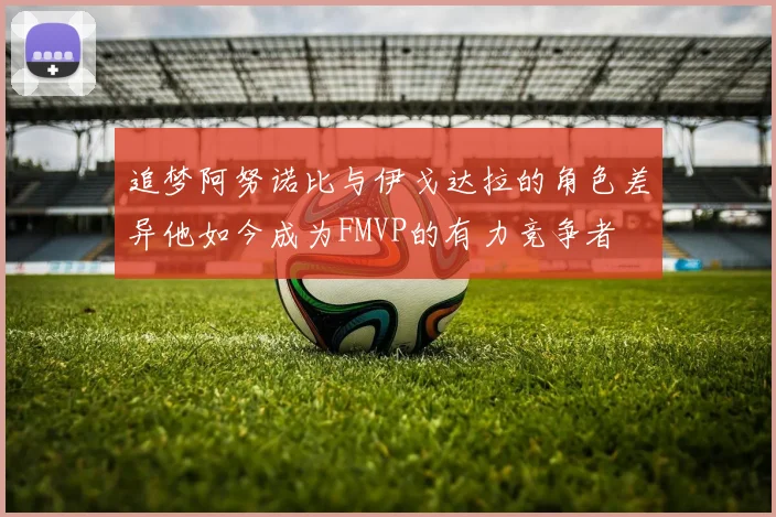 追梦阿努诺比与伊戈达拉的角色差异他如今成为FMVP的有力竞争者