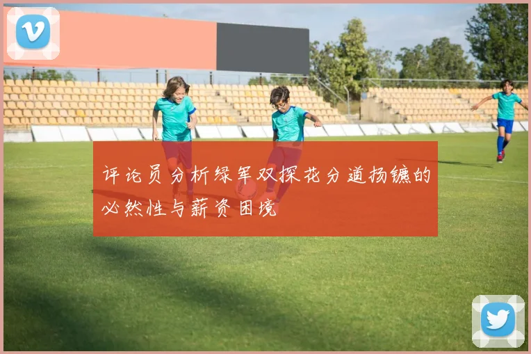 评论员分析绿军双探花分道扬镳的必然性与薪资困境