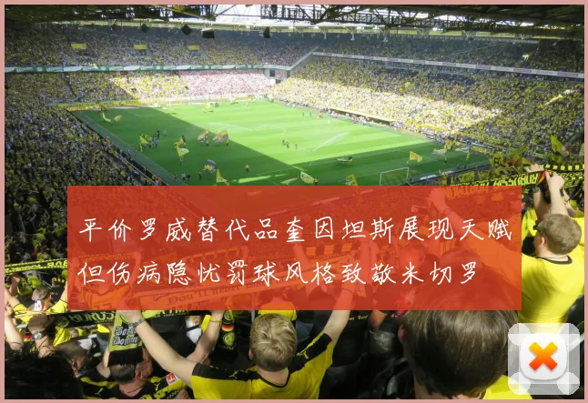 平价罗威替代品奎因坦斯展现天赋但伤病隐忧罚球风格致敬米切罗